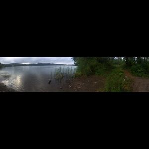 Meet your Posher, Etta